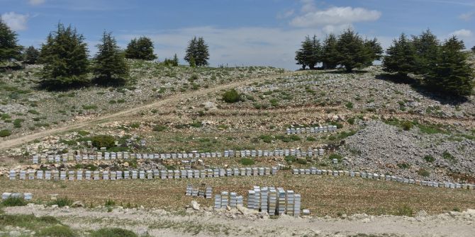 Mersin’de Bal Ormanları Arıcılarla Buluştu