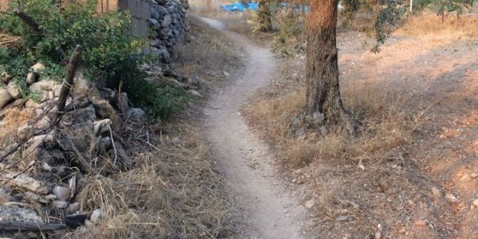 Milas’ta Patika Çilesi