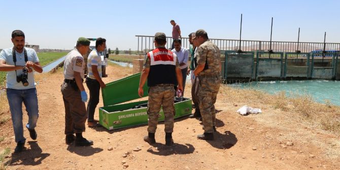 Sulama Kanalında Ceset Bulundu