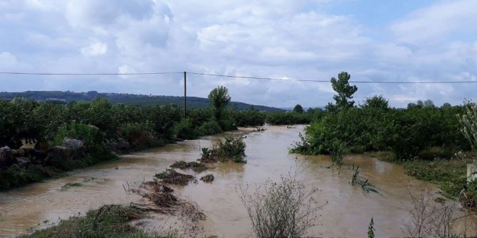 Sakarya’da Tarım Arazileri Sular Altında Kaldı