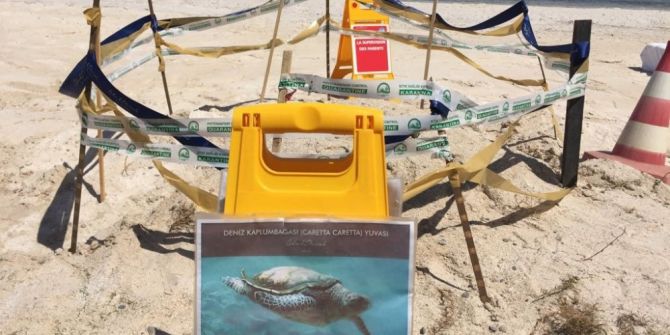 Caretta Caretta Yumurta Alanları Koruma Altında