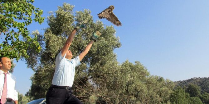 Aydın’da Tedavisi Tamamlanan Yaban Hayvanları Doğaya Bırakıldı