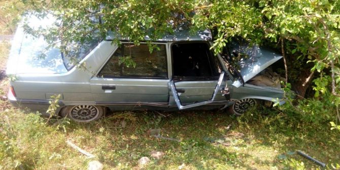 Kontrolden Çıkan Otomobil, Ağaca Çarptı: 1 Yaralı