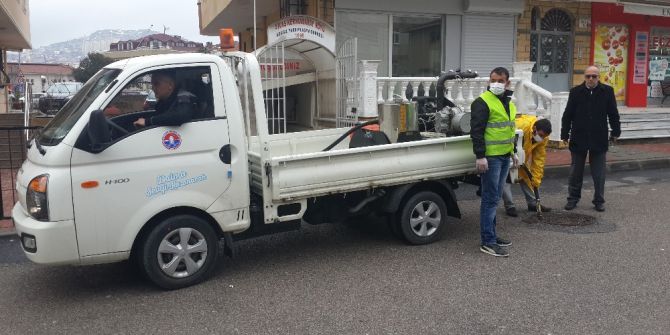 Maltepe Belediyesi’nden 5 Bin 233 Sokak Hayvanına Yardım Eli