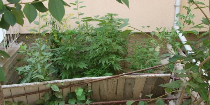 Kütahya’da Uyuşturucu Operasyonu