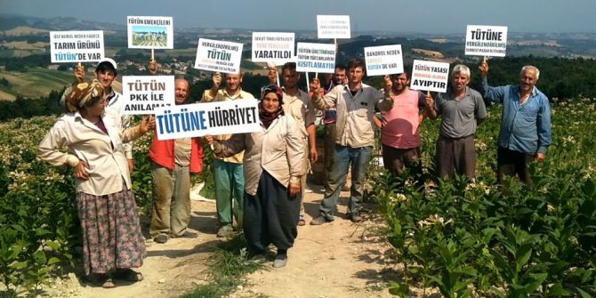 Tütün Üreticileri Serbest Pazar İstiyor