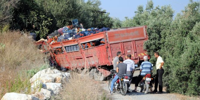 Domates Yüklü Kamyon Taş Duvara Çarptı: 1 Yaralı