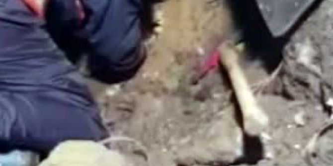 Cihangir’de 5 Saat Süren Köpek Kurtarma Operasyonu