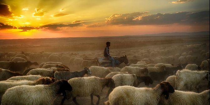 Dika Fotoğraf Sergisi Yapılacaktır