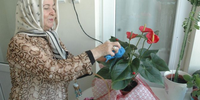 Sıcak Havada Sulanan Çiçekler Kuruyor