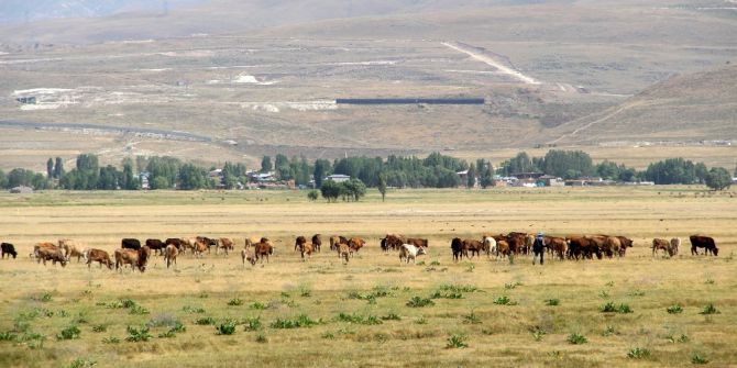 Kurbanlıklar Cep Yakacak
