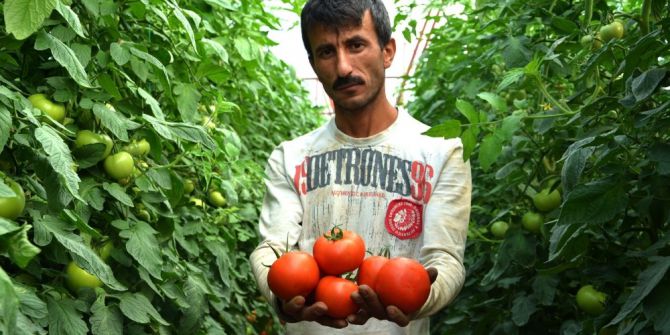 Üreticilerden Canan Karatay’ın Domates Açıklamasına Tepki