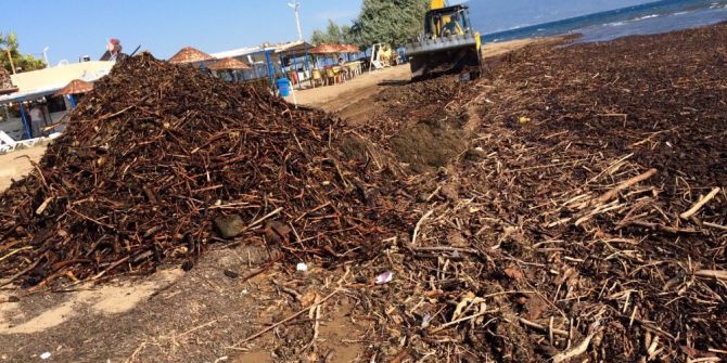 Yağışlardan Sonra Plajlar Temizleniyor