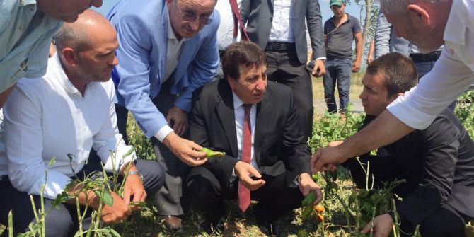 Çiftçinin Zararı En Kısa Sürede Karşılanacak
