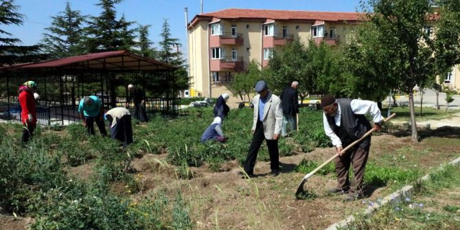 Huzurevi Sakinleri Hobi Bahçesinde Doğal Ürün Yetiştiriyor
