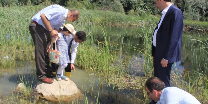 Sülük Göletine 15 Bin Sazan Bırakıldı