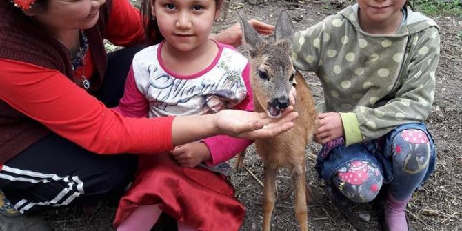 İki Kız Kardeş Yavru Karacayı Köpeklerin Elinden Aldı