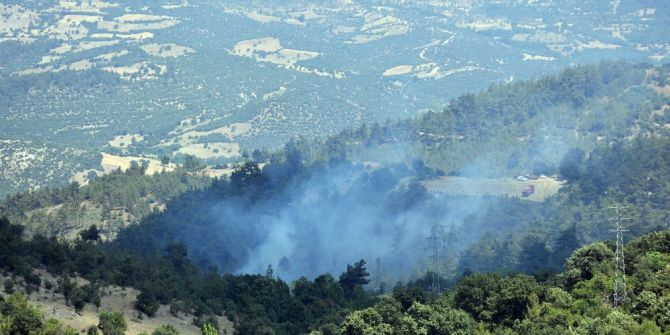 Dursunbey’de Orman Yangını