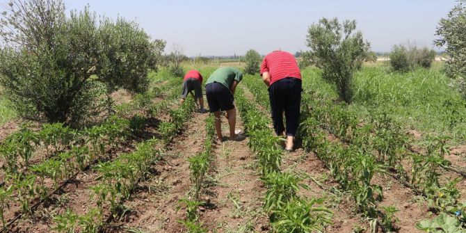Hobi Bahçeleri Ve Kurslarla Ruhsal Sorunlarını Aşıyorlar