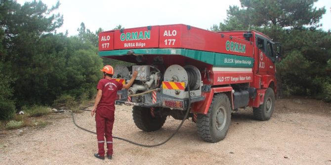 Bilecik’te Orman Yangını