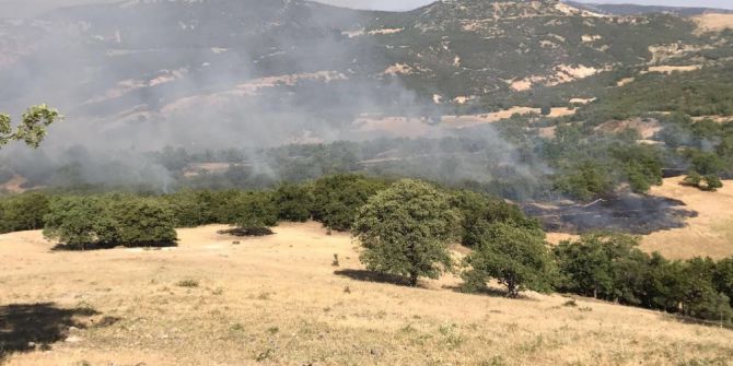 Tunceli Valiliği’nden Mazgirt’teki Çatışmaya İlişkin Açıklama
