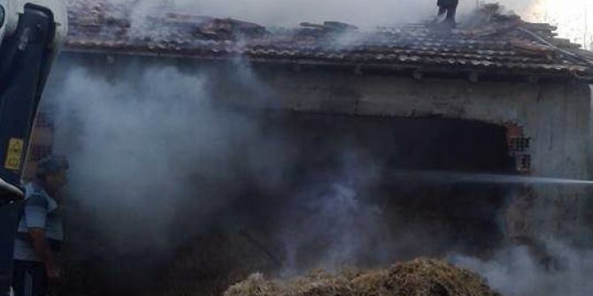 Sakarya’da Ahır Ve Samanlık Yangını