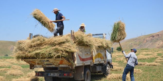 Yüksekova’daki Besicilerin Kış Hazırlığı