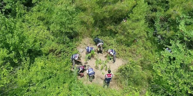 Jandarma’dan Drone’lu Uyuşturucu Baskını