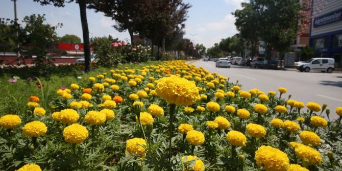 Sincan’dan Çiçek Kokuları Yükseliyor