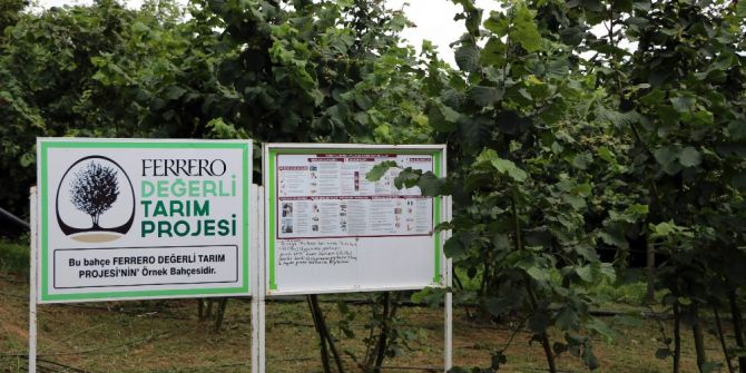 Ferrero Fındık Yetkilileri Üretici İle Bir Araya Gelerek Bahçe Günleri Yapıyor