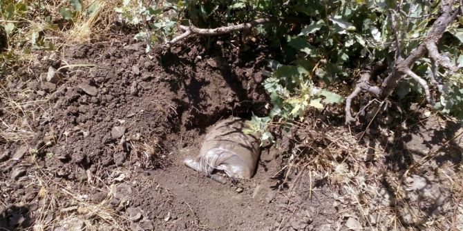 Silvan’da 2 Adet Eyp Bulundu