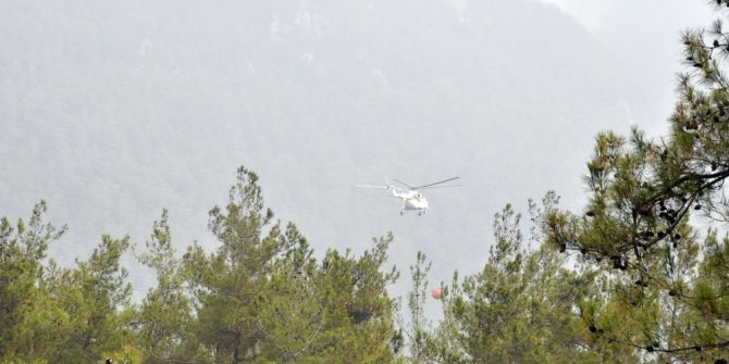 Amanos’larda Orman Yangını