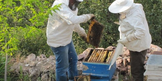 Karbasan Köyü Arıcıların Yeni Gözdesi