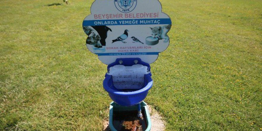 Beyşehir Belediyesi Sokak Hayvanları İçin Kap
