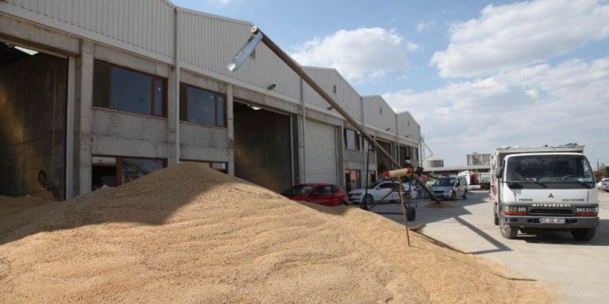 Seydişehir’de Hububat Borsası’nda Alımlar Devam Ediyor