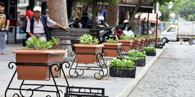 Salihli’de Sevgi Yolu Çiçeklerle Donatıldı