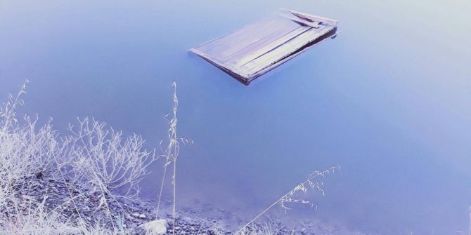 Çamurlu At Acı Gerçeği Ortaya Çıkardı