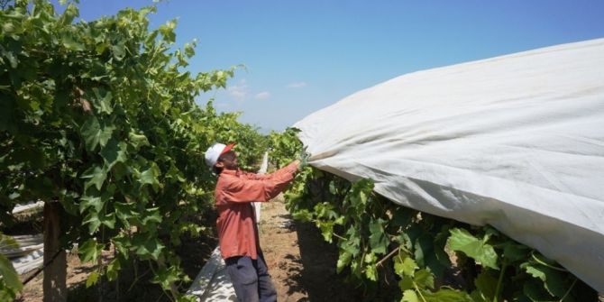 Sarıgöl Ovası Beyaz Örtüyle Kaplanıyor