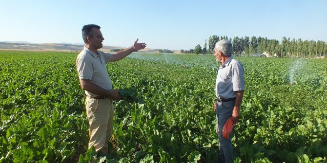 Malazgirtli Pancar Üreticileri Kotanın Kaldırılmasını İstiyor