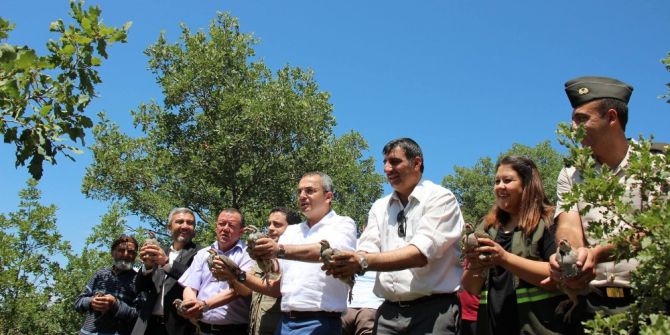 Tosya’da 500 Keklik Doğaya Salındı