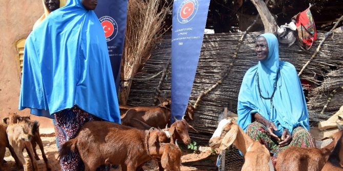 Tika’dan Nijer’de Kadınlara Küçükbaş Hayvan Desteği