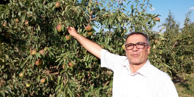 Deveci Armudunu Güneş Vurdu, Çiftçi Erteleme Bekliyor