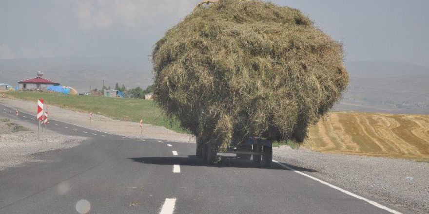 Ot Yüklü Traktörler Tehlike Saçıyor