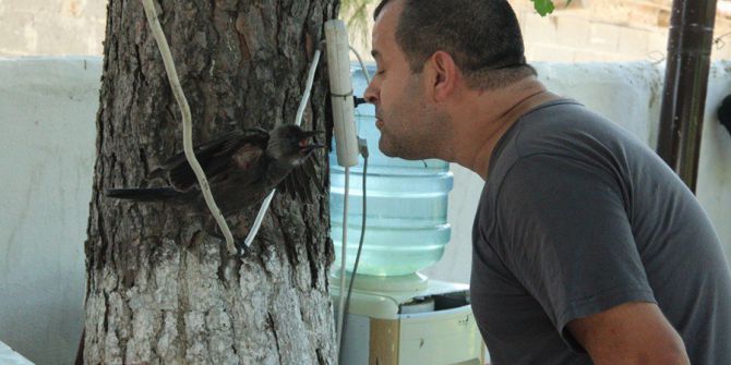 En İyi Dostu Karga Oldu