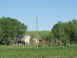 Ağrı Yığnıtepe Köyü