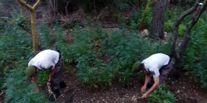 Jandarmadan Uyuşturucu Operasyonu