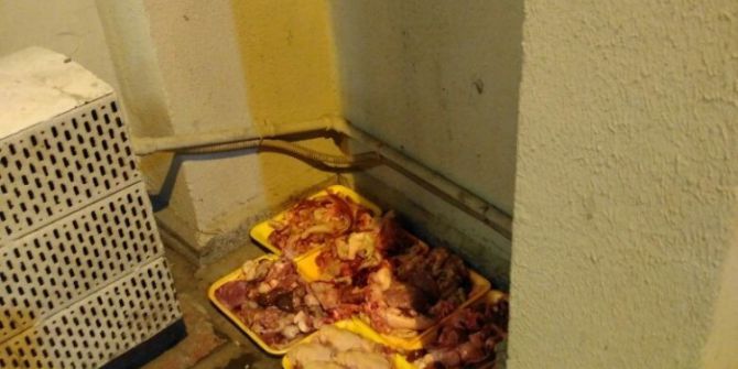 Hayvansever Vatandaşlar Çevre Kirliliği İçin Uyarıldı