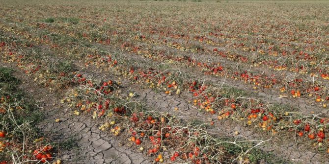Dolunun Vurduğu Çiftçiye Bursa Büyükşehir Belediyesi’nden Destek
