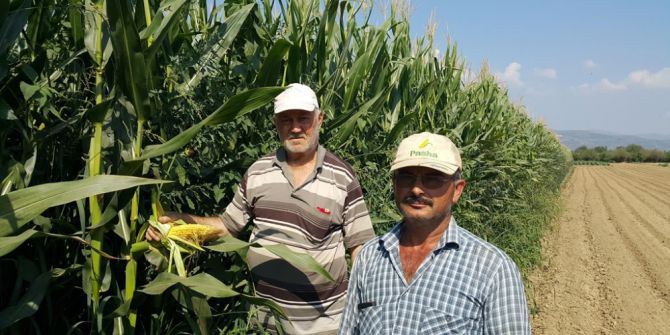 Patates Ve Karpuzdan Sonra Gözler Mısırda