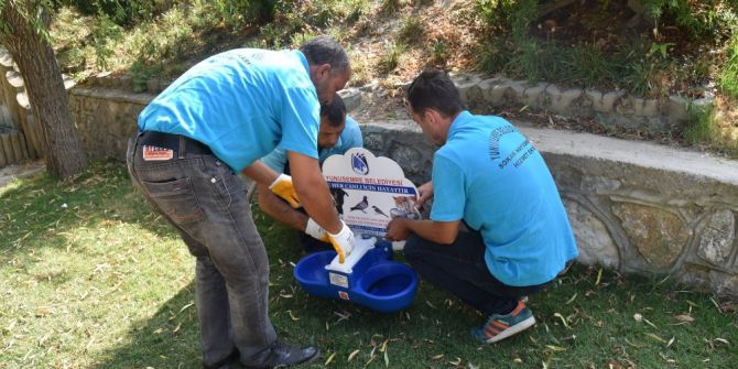 Manisa’da Yaz Aylarında Sokak Hayvanları Unutulmadı
